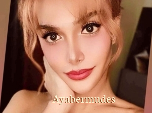 Ayabermudes