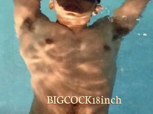 BIGCOCK18inch