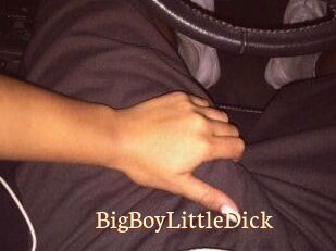 BigBoyLittleDick