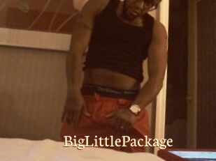 BigLittlePackage