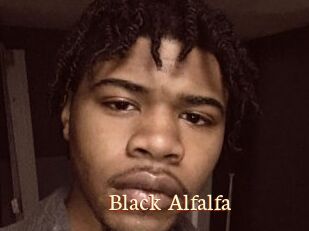 Black_Alfalfa