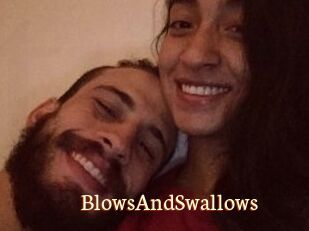 BlowsAndSwallows