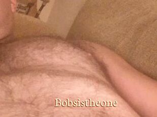 Bobsistheone