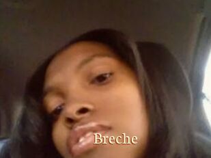 Breche