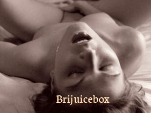 Brijuicebox