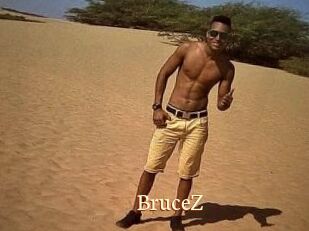 BruceZ