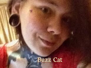 Buzz_Cat