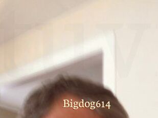 Bigdog614