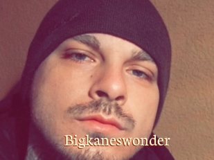 Bigkaneswonder