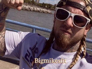 Bigmikesfit