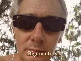 Biguncutcock