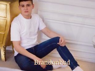 Brandonbud