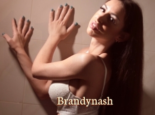 Brandynash