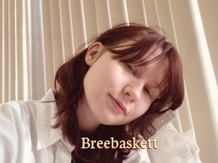 Breebaskett