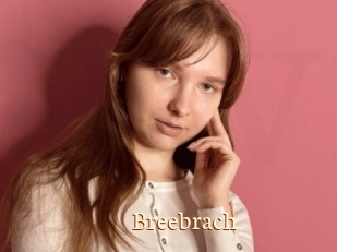 Breebrach