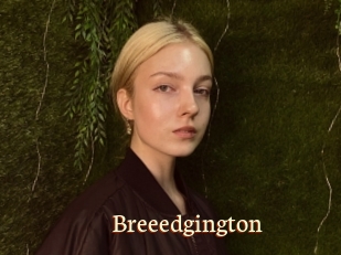 Breeedgington