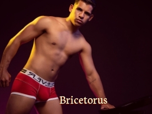 Bricetorus