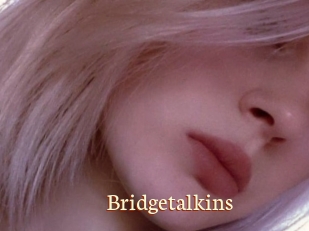 Bridgetalkins