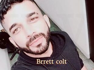 Brrett_colt