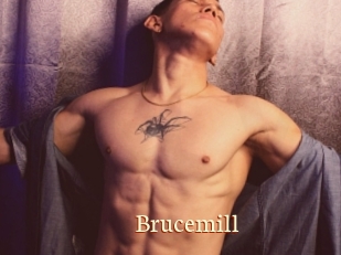 Brucemill