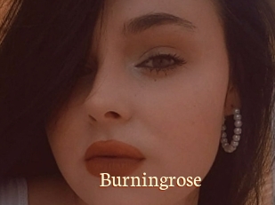 Burningrose