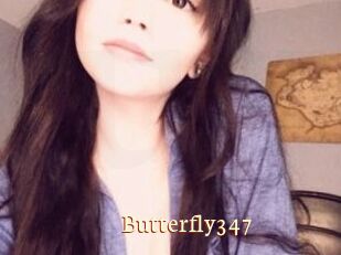 Butterfly347