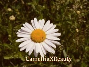 Camellia_XBeauty