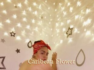 Caribean_Flower