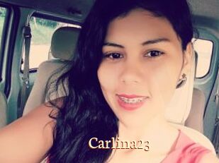 Carlina23