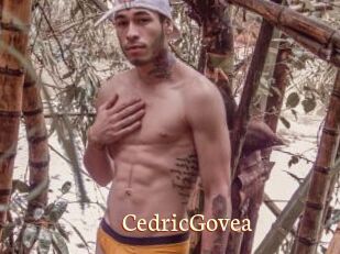 CedricGovea