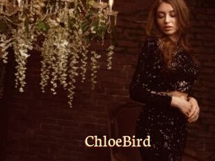 ChloeBird