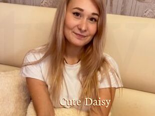 Cute_Daisy