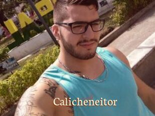 Calicheneitor