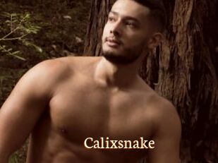 Calixsnake