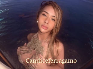 Candiceferragamo