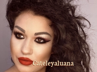 Cateleyaluana