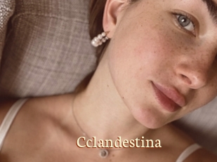 Cclandestina