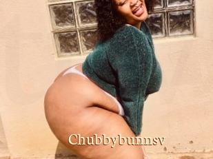 Chubbybunnsv