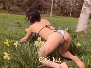 City_kat