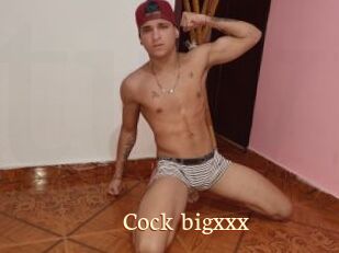 Cock_bigxxx