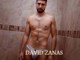 DAVID_ZANAS