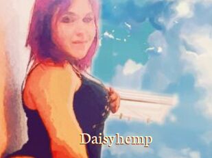 Daisy_hemp