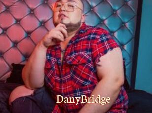 DanyBridge