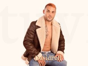 DavidPoll