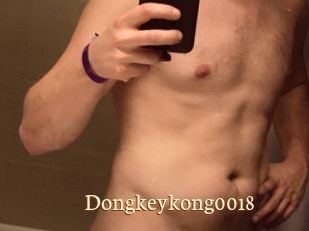 Dongkeykong0018