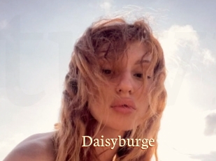 Daisyburge