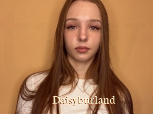 Daisyburland