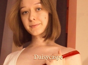 Daisycaspe