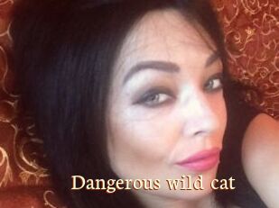 Dangerous_wild_cat