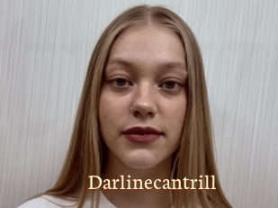 Darlinecantrill